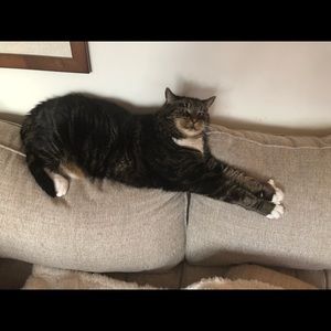 Meet your Posher, Kit